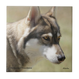 Wolf Tile Tegeltje