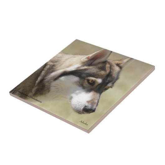 Wolf Tile Tegeltje (Zijkant)
