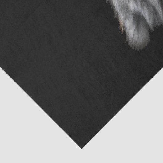 Wolf Tissuepapier (Detail)