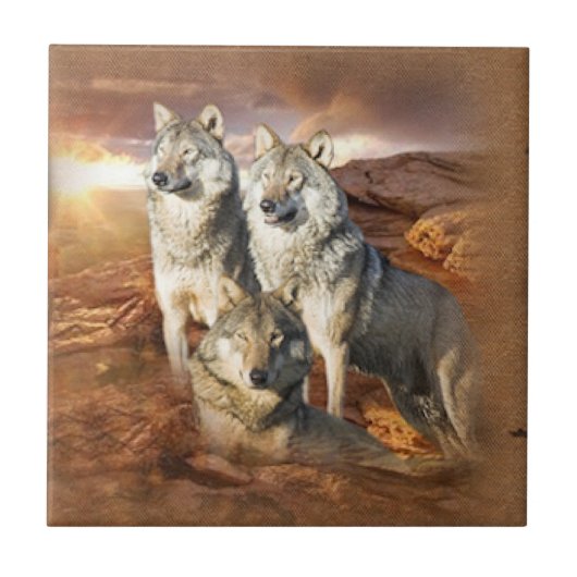 Wolf Trio Tegeltje (Voorkant)