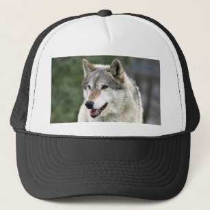 Wolf Trucker Pet