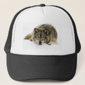 Wolf Trucker Pet (Voorkant)