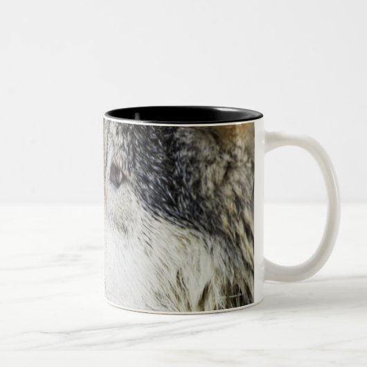 Wolf Tweekleurige Koffiemok (Rechts)