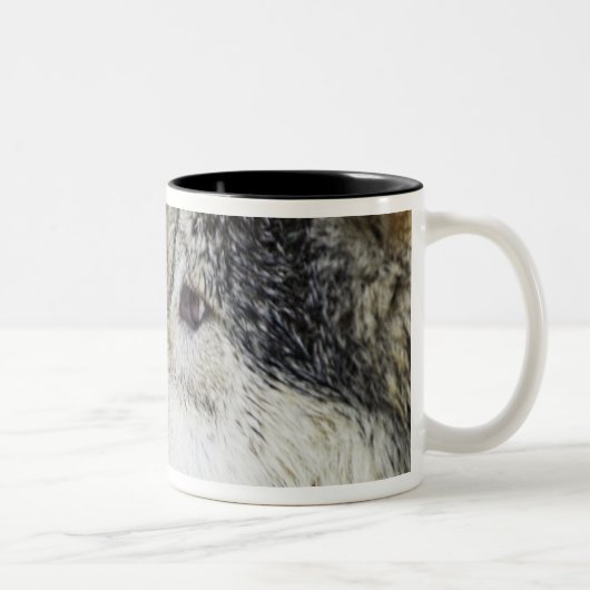 Wolf Tweekleurige Koffiemok (Rechts)