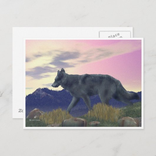 Wolf uit het hoge land briefkaart (Voorkant / Achterkant)