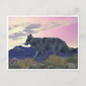 Wolf uit het hoge land briefkaart (Voorkant)