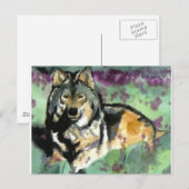 Wolf van Paula Atwell Briefkaart (Voorkant / Achterkant)