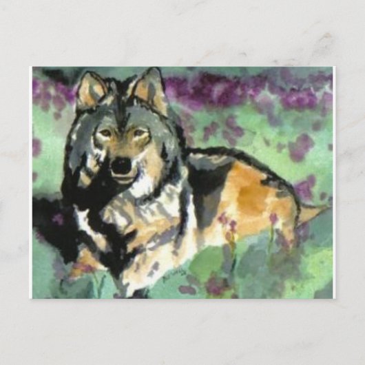 Wolf van Paula Atwell Briefkaart (Voorkant)