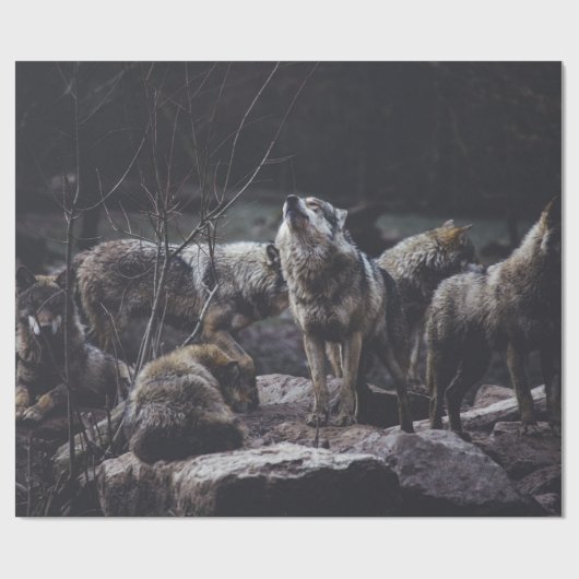 WOLF VERPAKKING OP ROCK FORMATIE CADEAUPAPIER (Vlak)