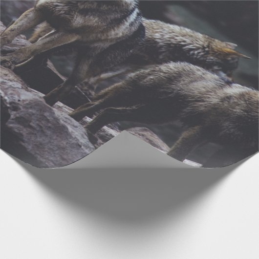 WOLF VERPAKKING OP ROCK FORMATIE CADEAUPAPIER (Hoek)