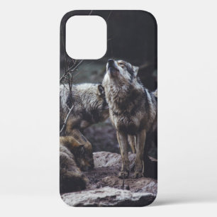 WOLF VERPAKKING OP ROCK FORMATIE Case-Mate iPhone CASE