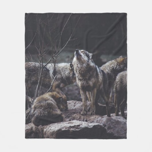 WOLF VERPAKKING OP ROCK FORMATIE FLEECE DEKEN (Voorkant)