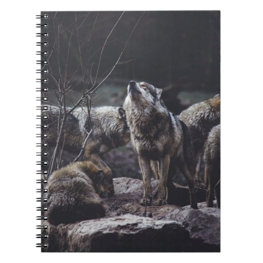 WOLF VERPAKKING OP ROCK FORMATIE NOTITIEBOEK (Voorkant)