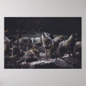 WOLF VERPAKKING OP ROCK FORMATIE POSTER (Voorkant)