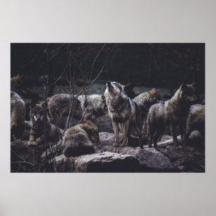 WOLF VERPAKKING OP ROCK FORMATIE POSTER
