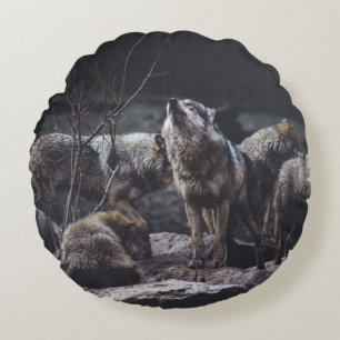 WOLF VERPAKKING OP ROCK FORMATIE ROND KUSSEN