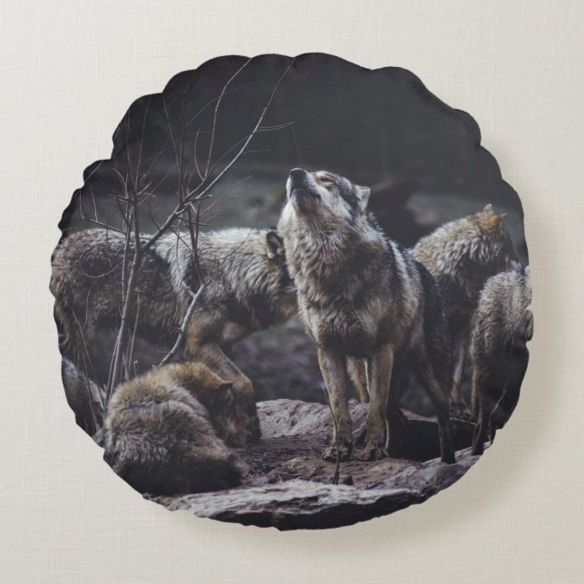 WOLF VERPAKKING OP ROCK FORMATIE ROND KUSSEN (Voorkant)