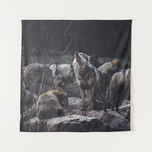 WOLF VERPAKKING OP ROCK FORMATIE WANDKLEED (Voorkant)