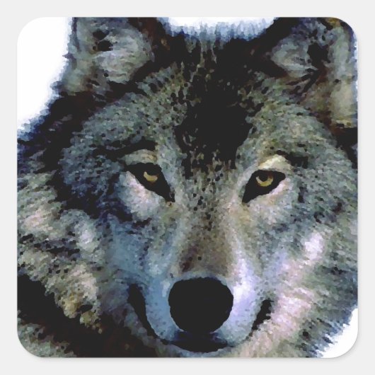 Wolf Vierkante Sticker (Voorkant)