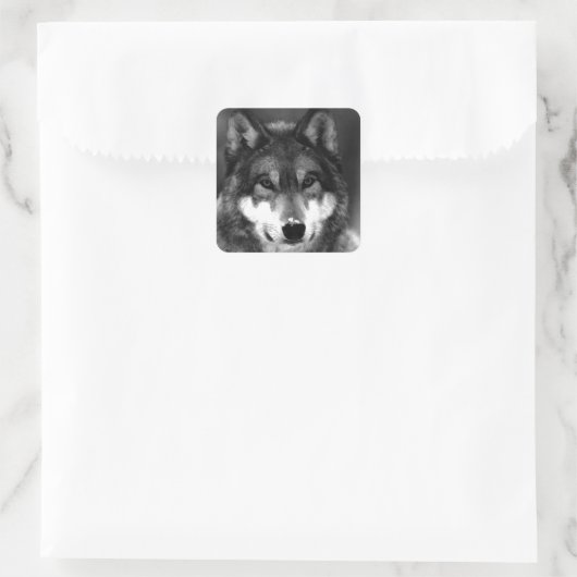 Wolf Vierkante Sticker (Tas)
