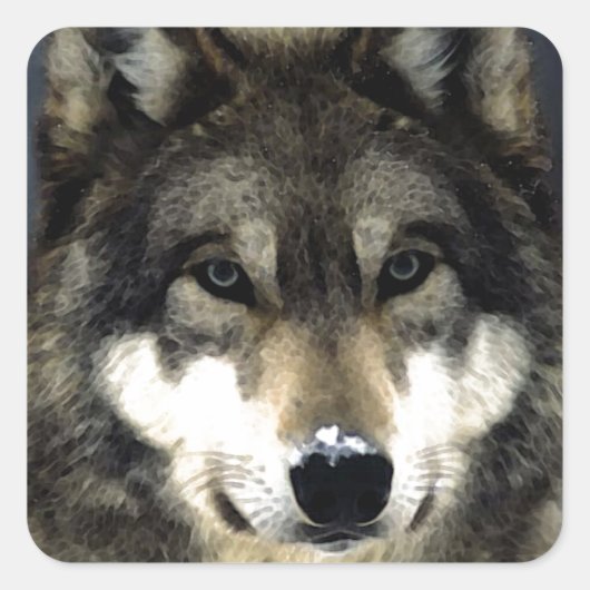 Wolf Vierkante Sticker (Voorkant)
