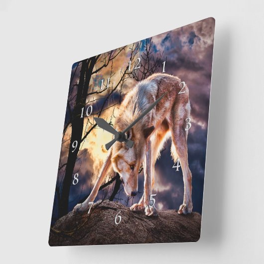 WOLF VOLLE MAAN REACTIES VIERKANTE KLOK (Hoek)