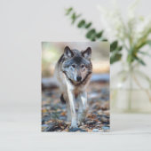 WOLF WALKING BRIEFKAART (Staand voorkant)