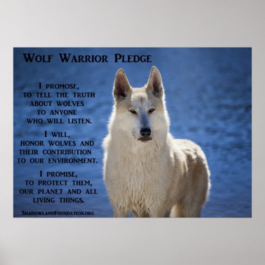 Wolf Warrior Poster (Voorkant)