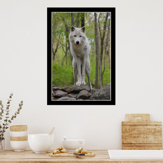 Wolf Watch Poster (Keuken)