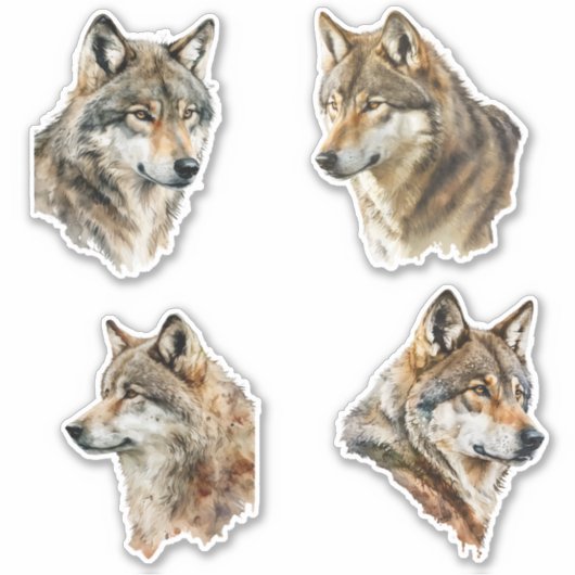 Wolf Waterverf Portraits Sticker (Voorkant)