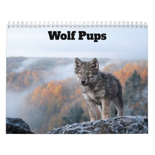Wolf Welpen 2027 Kalender (Hoes)