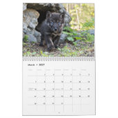 Wolf Welpen 2027 Kalender (Mar 2027)