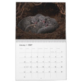 Wolf Welpen 2027 Kalender (Jan 2027)