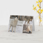 Wolf - Wenskaart - Blank personaliseren Kaart (Gele Bloem)