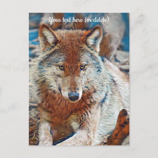 Wolf Wenskaart Briefkaart (Voorkant)