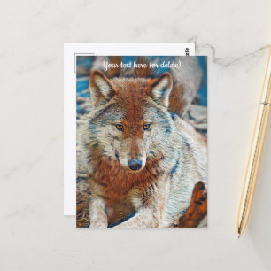 Wolf Wenskaart Briefkaart