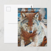 Wolf Wenskaart Briefkaart (Voorkant / Achterkant)