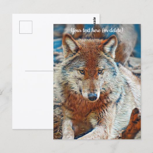 Wolf Wenskaart Briefkaart (Voorkant / Achterkant)