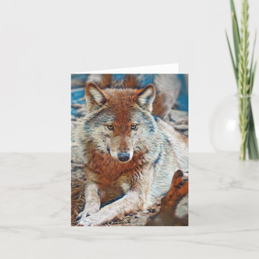 Wolf Wenskaart Kaart (Voorkant)