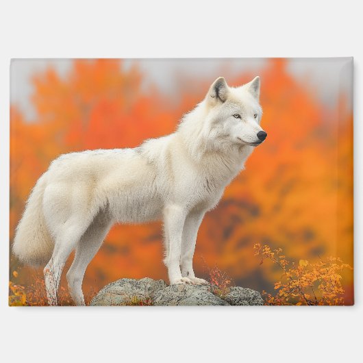 Wolf Wild Animal Loving Portrait Magneet (Voorkant)