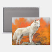 Wolf Wild Animal Loving Portrait Magneet (Voorkant / Achterkant)