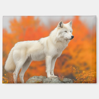 Wolf Wild Animal Loving Portrait Magneet