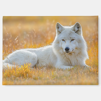 Wolf Wild Animal Loving Portrait Magneet
