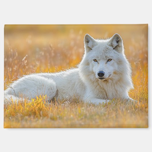 Wolf Wild Animal Loving Portrait Magneet (Voorkant)
