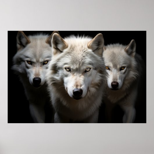 Wolf Wild Dierenportret Fierce Power Poster (Voorkant)