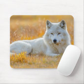Wolf Wilde Dier Liefdevol Portret Muismat (Met muis)