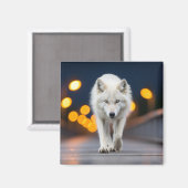 Wolf Wildlife Dier Op Straat Buiten Magneet (Voorkant / Achterkant)