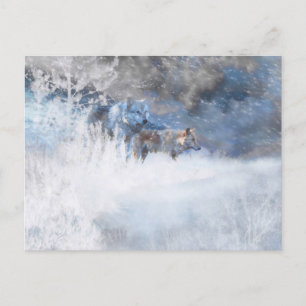 WOLF WINTERTERRITORIA BRIEFKAART