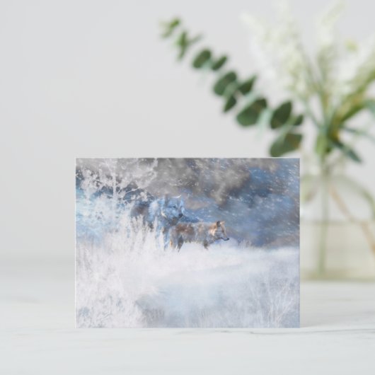 WOLF WINTERTERRITORIA BRIEFKAART (Staand voorkant)