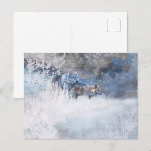 WOLF WINTERTERRITORIA BRIEFKAART (Voorkant / Achterkant)